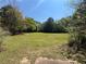 Expansive green backyard with lush trees, offering a private and serene outdoor space at 6365 Mountain View Trl, Cumming, GA 30041