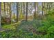 Wooded lot with lush green ground cover and mature trees at 1959 Grand Prix Ne Dr, Atlanta, GA 30345