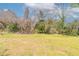 Expansive backyard with mature trees providing shade and privacy, creating a serene outdoor oasis at 2818 Mcafee Rd, Decatur, GA 30032