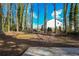 View of the backyard featuring mature trees and greenery at 2379 Ridgeway Dr, Atlanta, GA 30360