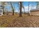 Backyard showcasing mature trees and shed at 4555 Cedar Heights Ct, Stone Mountain, GA 30083