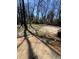 A concrete backyard patio shaded by mature trees on a sunny day at 4809 Thompson Mill Rd, Lithonia, GA 30058