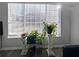 Bright living room detail showcasing large window with decorative plants at 217 Odyssey Turn Nw, Conyers, GA 30012