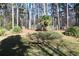Secluded backyard with mature trees and wooden bench offering a peaceful retreat at 1313 Idlewood Ct, Mcdonough, GA 30252