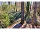 Natural backyard landscape with mature trees and a peaceful creek at 3016 Ansley Manor Ct, Snellville, GA 30078