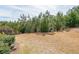 Spacious backyard with mature trees and room for outdoor activities at 307 Serenity Way, Woodstock, GA 30188