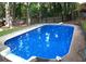 Backyard in-ground pool surrounded by a concrete patio, tall trees, and a wooden fence at 3780 Clubview Se Ct, Conyers, GA 30094