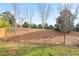 Sloped backyard with pine straw and young trees providing privacy and a natural landscape at 2471 Arnold Palmer Way, Duluth, GA 30096