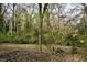 A view of the wooded backyard at 2642 Joyce Ave, Decatur, GA 30032