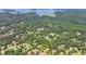 Aerial view of the home surrounded by lush trees near Lake Lanier at 4260 River Club Dr, Cumming, GA 30041