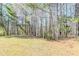 Flat backyard features a grassy area with many trees at 835 Old Rocky Rd, Atlanta, GA 30349