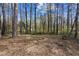 Spacious wooded backyard with trees and natural landscaping at 6219 Holly Ann Se St, Acworth, GA 30102