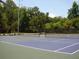 Well-maintained community tennis courts offer a great recreational amenity at 1643 North Springs Dr, Dunwoody, GA 30338