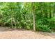 A shot of the backyard surrounded by greenery at 2205 Parliament Dr, Lawrenceville, GA 30043