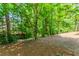 A shot of the backyard with trees and greenery at 2205 Parliament Dr, Lawrenceville, GA 30043