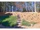 Backyard with a slope features a stone staircase leading to lush greenery at 3198 Highland Forge Trl, Dacula, GA 30019