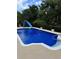 An inviting pool with a slide, set amidst lush greenery for endless summer fun at 3433 Pinemont Dr, Douglasville, GA 30135