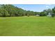 Expansive backyard featuring lush greenery and a lawn mower at 1300 Snapping Shoals Rd, Mcdonough, GA 30252