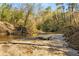 Scenic view of a serene river, complemented by a sandy bank and lush trees at 993 Northrope Ne Dr, Atlanta, GA 30324