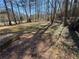 Large backyard with healthy green grass and plenty of mature trees at 3116 Lake Monroe Rd, Douglasville, GA 30135