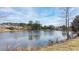 Large pond surrounded by lush greenery and trees at 2917 Knob Creek Dr, Snellville, GA 30078