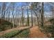 Scenic backyard trail leading to a serene river, surrounded by lush greenery and mature trees, offering a peaceful escape at 0 Winterthur, Sandy Springs, GA 30328