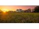 Exterior view of farmhouse and detached garage with long lush yard at sunset at 774 Forrester Cemetery Rd, Covington, GA 30014