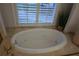 Close up on soaking tub with jets under a white arched window at 433 Abbey Springs Way, Mcdonough, GA 30253