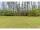 Large backyard with lush green grass and mature trees offering privacy and natural beauty at 3202 Betty Cir, Decatur, GA 30032