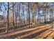 Beautiful backyard featuring mature trees, a wooden fence, and a gentle slope covered in fallen leaves at 7065 Walnut Mill Ct, Cumming, GA 30040