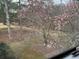 View of serene backyard featuring a flowering tree and lush greenery from an elevated position at 1110 Country Ct, Lawrenceville, GA 30044