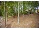 Beautiful home with wooded surroundings and lush landscaping at 6029 Shadburn Ferry Rd, Buford, GA 30518