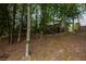 Beautiful home with wooded surroundings and lush landscaping at 6029 Shadburn Ferry Rd, Buford, GA 30518