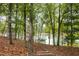 Scenic lake view through the trees, showcasing the tranquil waterfront setting and docks at 6029 Shadburn Ferry Rd, Buford, GA 30518
