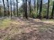 Large, wooded backyard provides a peaceful setting at 5463 Forest East Ln, Stone Mountain, GA 30088