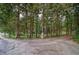 Long driveway leading up to the property surrounded by mature trees at 2585 Braselton Hwy, Buford, GA 30519