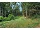 Beautiful view of the property and land, with tall trees and green grass at 2585 Braselton Hwy, Buford, GA 30519