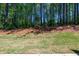 Expansive backyard with lush green grass and a backdrop of tall, mature trees at 1612 Ruskin Way, Marietta, GA 30062