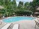 Community pool surrounded by mature trees, lounge chairs, and patio umbrellas at 1624 Ruskin Way, Marietta, GA 30062
