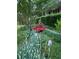 Beautifully landscaped front yard featuring vibrant flowers and lush greenery for curb appeal at 345 Lambeth Dr, Hiram, GA 30141