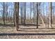 View of the heavily wooded backyard with lots of trees and foliage at 5770 Millstone Dr, Cumming, GA 30028