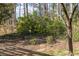 An ornate gazebo, shrouded in shrubbery, sits in the shade of a backyard at 1767 Wingard Dr, Marietta, GA 30062