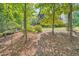 Picturesque backyard featuring mature trees and landscaping at 3270 New University Trl, Cumming, GA 30041