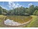 Scenic view of the community pond surrounded by mature trees, offering a tranquil and serene atmosphere at 3270 New University Trl, Cumming, GA 30041