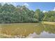 Picturesque community pond surrounded by mature trees, providing a peaceful and natural setting at 3270 New University Trl, Cumming, GA 30041