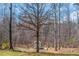 Backyard shed surrounded by foliage at 7881 Wilkerson Ln, Palmetto, GA 30268