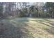 Large backyard with trees and abundant green space, offering plenty of room at 59 Pine Ridge Ln, White, GA 30184