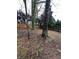 Backyard with a tall tree, a wooden fence, and some ground cover at 1672 Cedar Bluff Way, Marietta, GA 30062