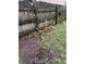 Small tree in the backyard adding greenery to the outdoor space at 1672 Cedar Bluff Way, Marietta, GA 30062
