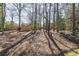 Secluded backyard with mature trees and natural ground cover, offering a private and serene outdoor space at 3034 Farmington Se Dr, Atlanta, GA 30339